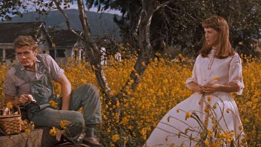 East of Eden - Backdrop