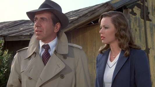 The Man With Bogart's Face - Backdrops