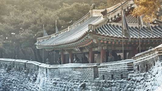 The Fortress - Backdrop