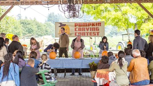 Harvest Love - Backdrop
