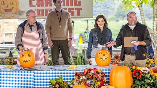 Harvest Love - Backdrop