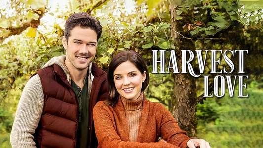 Harvest Love - Backdrop
