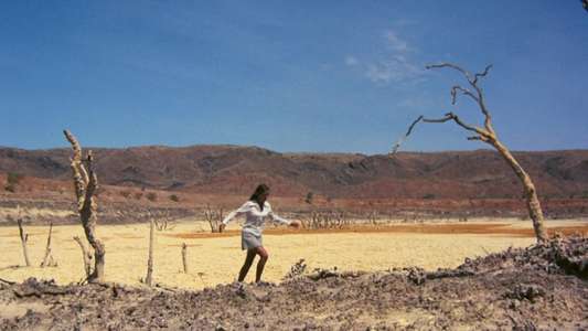 Walkabout - Backdrop