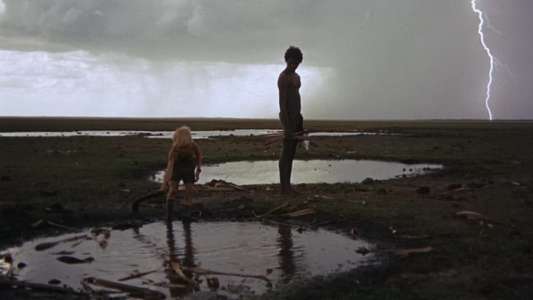 Walkabout - Backdrop
