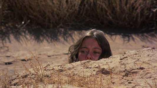 Walkabout - Backdrop