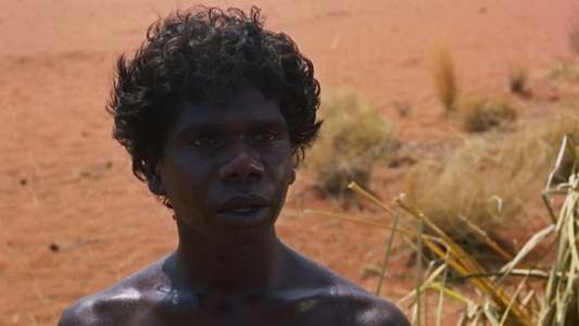 Walkabout - Backdrop