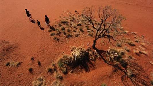Walkabout - Backdrop