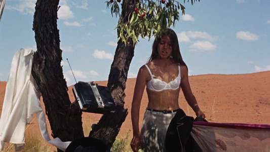 Walkabout - Backdrop