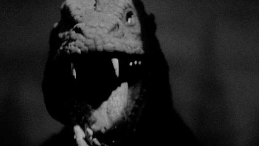 The Beast from 20 000 Fathoms - Backdrop