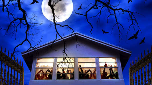 TricOTri: Happy Halloween - Backdrop