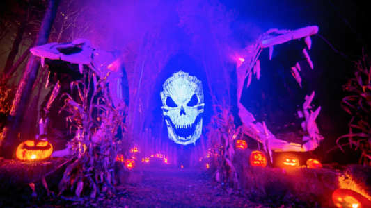 Haunters: The Art of the Scare - Backdrop