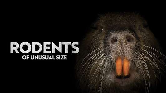 Rodents of Unusual Size - Backdrop