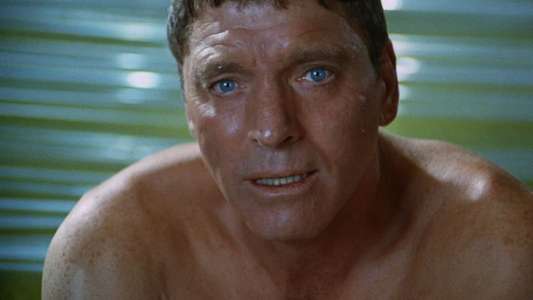 The Swimmer - Backdrop