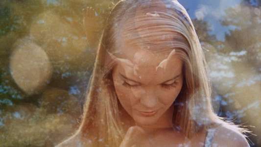 The Swimmer - Backdrop