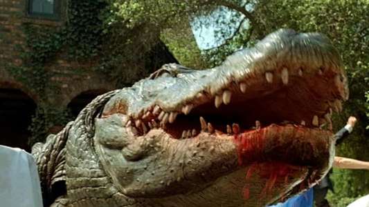 Alligator - Backdrop