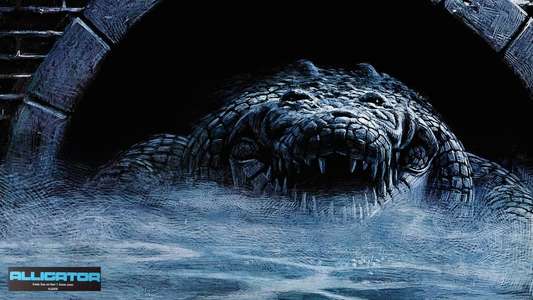 Alligator - Backdrop