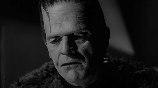 Son of Frankenstein - Backdrop