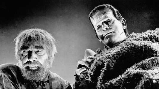 Son of Frankenstein - Backdrop