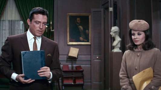 Valley of the Dolls - Backdrop