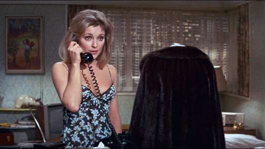 Valley of the Dolls - Backdrop