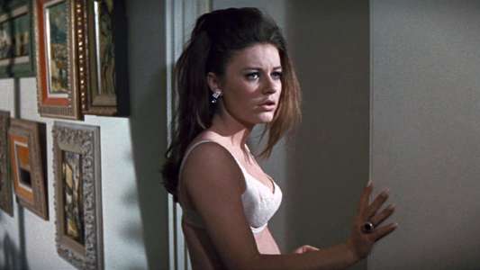 Valley of the Dolls - Backdrop