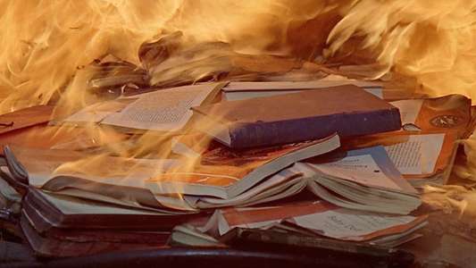 Fahrenheit 451 - Backdrop