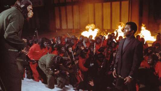Conquest of the Planet of the Apes - Backdrop