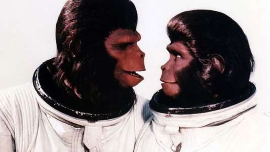 Escape from the Planet of the Apes - Backdrop
