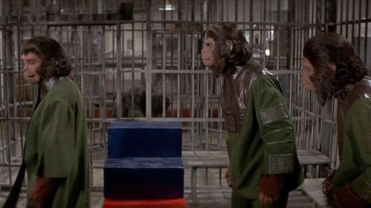 Escape from the Planet of the Apes - Backdrop