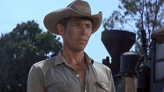 The Magnificent Seven - Backdrop