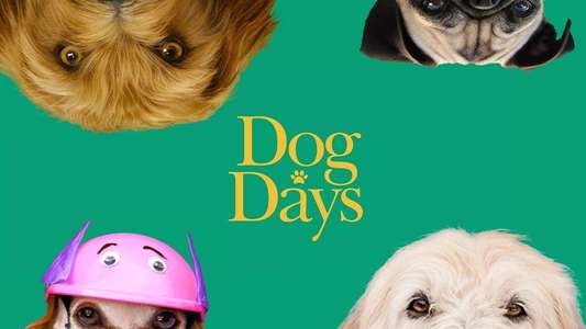 Dog Days - Backdrop
