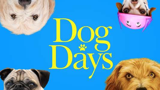 Dog Days - Backdrop