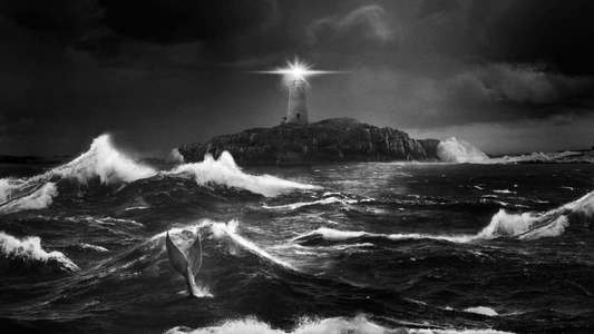 The Lighthouse - Backdrop