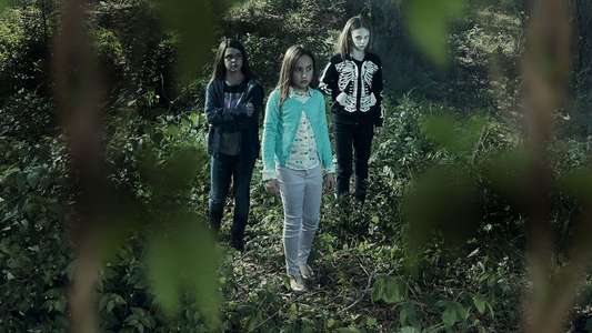 Terror in the Woods - Backdrops