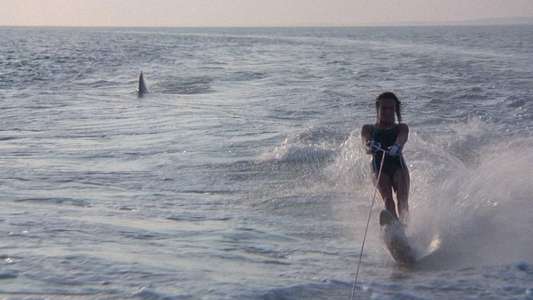 Jaws 2 - Backdrop