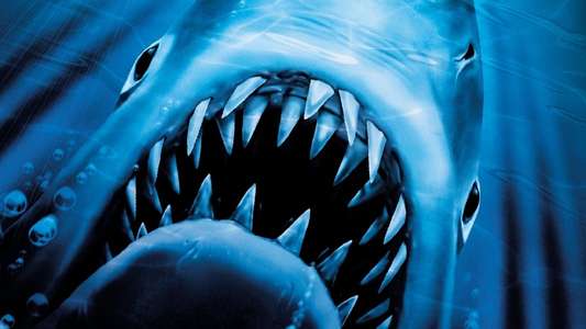 Jaws 2 - Backdrop