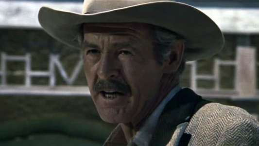 The Wild Bunch - Backdrop