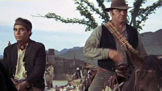 The Wild Bunch - Backdrop