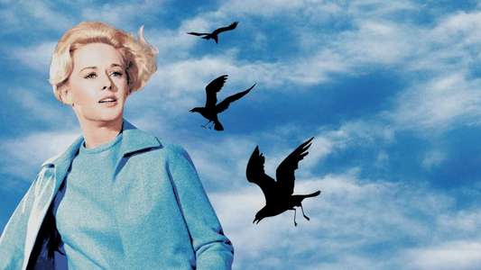 The Birds - Backdrop