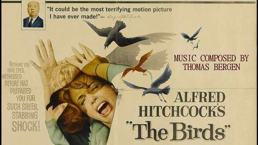 The Birds - Backdrop