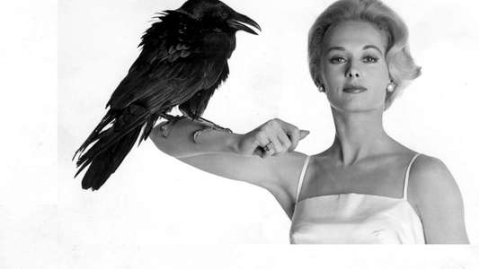The Birds - Backdrop