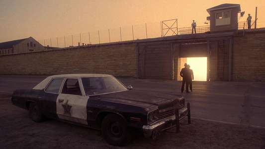 The Blues Brothers - Backdrops