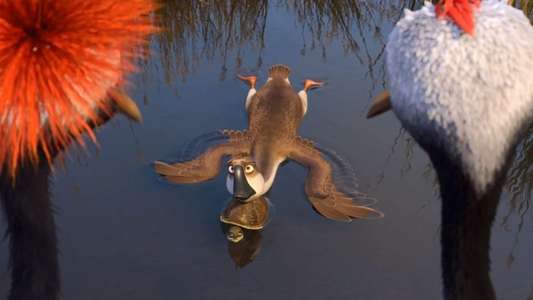 Duck Duck Goose - Backdrop