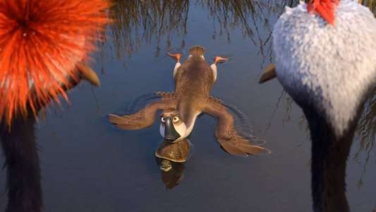 Duck Duck Goose - Backdrop