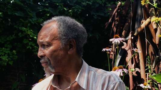 Milford Graves Full Mantis - Backdrop