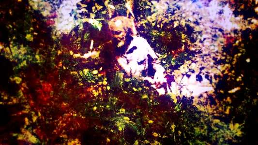 Milford Graves Full Mantis - Backdrop