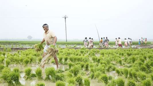 Kadaikutty Singam - Backdrops