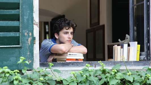 Call Me by Your Name - Backdrop