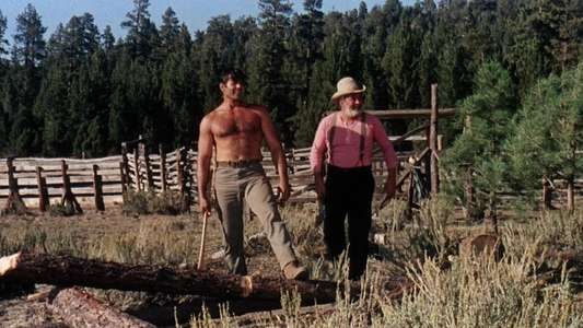 The Night of the Grizzly - Backdrops