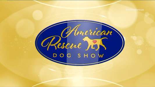 The 2018 American Rescue Dog Show - Backdrop